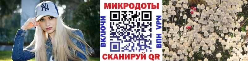 как найти   Барнаул  Псилоцибиновые грибы Cubensis 